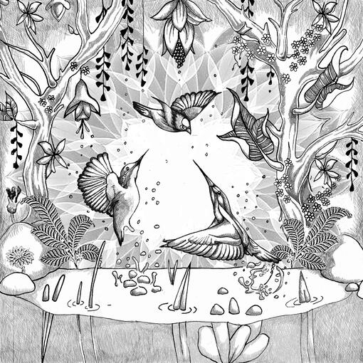 La abundancia del agua y el baile de los pajaritos